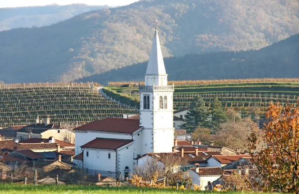 Občina Vipava bo ponovno iskala izvajalca konservatorskega načrta in OPPN za Goče.