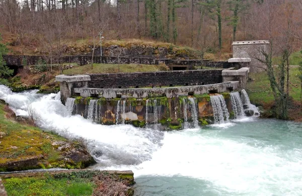 Izvir Rižane poleti zagotavlja le 17 odstotkov vode, preostanek so v Rižanskem vodovodu primorani kupiti, bodisi 
od Istrskega vodovoda v sosednji Hrvaški bodisi iz Kraškega 
vodovoda.
