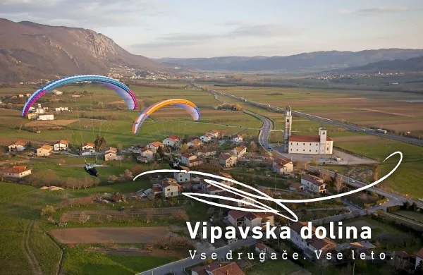 Sodobna zasnova in  privlačna vsebina interaktivnega spletnega portala naj bi uporabnika že ob prvem vtisu navdušila za 
obisk Vipavske doline.