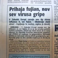 Pred 13 leti je po Zahodni Evropi razsajal nov sev virusa gripe, t. i. fujian.