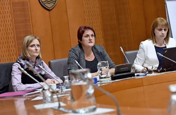 Preiskovalna komisija DZ o ugotavljanju zlorab v slovenskem 
zdravstvenem sistemu na področju prodaje in nakupa žilnih 
opornic je danes določila seznam 22 prič, ki jih namerava 
zaslišati.