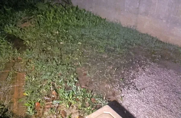 Zaradi nezakonito usmerjenega odvodnjavanja meteorne 
vode je del parcele pri družini Frank Rajčić velikokrat 
poplavljen.