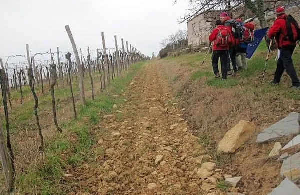 Pohodniška trasa nove evropske peš poti E12 obsega skoraj 
50 kilometrov in jo je mogoče prehoditi v treh dneh.