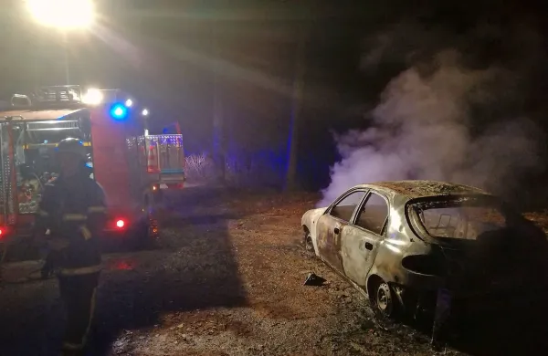 Gasilci iz PGD Kneža so na makadamskem izogibališču blizu 
vasi Temljine in nato v avtu opazili žalosten prizor. 