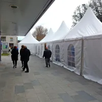 Knjige so že pod jelkami