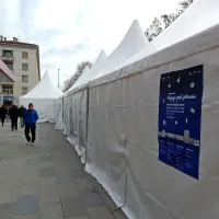 Knjige so že pod jelkami