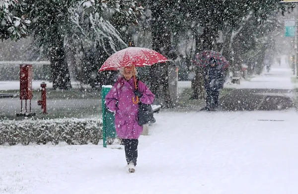 Goriški snežni utrinek iz letošnjega januarja.