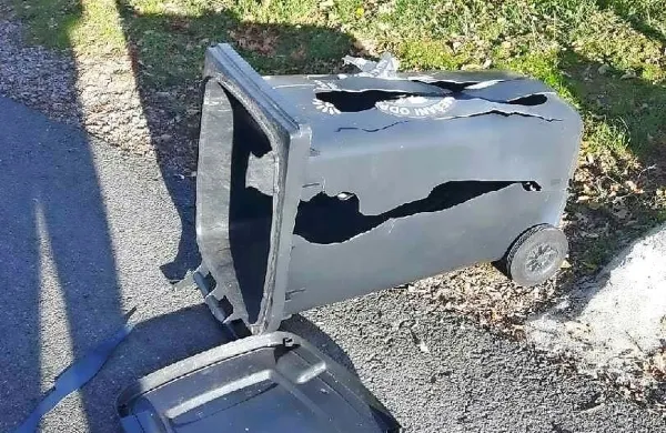 Kdaj jih bo srečala pamet?