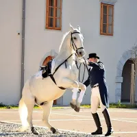 V Vipavi je bilo žegnanje konj &scaron;e posebej slovesno (foto)