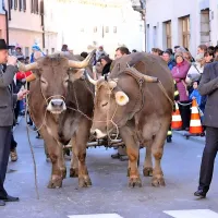 V Vipavi je bilo žegnanje konj &scaron;e posebej slovesno (foto)