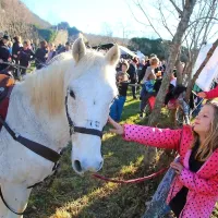 Žegnanje konj v Zanigrad pritegnilo &scaron;tevilne obiskovalce (FOTO)