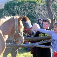 Žegnanje konj v Zanigrad pritegnilo &scaron;tevilne obiskovalce (FOTO)