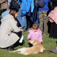 Žegnanje konj v Zanigrad pritegnilo &scaron;tevilne obiskovalce (FOTO)