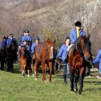 Žegnanje konj v Zanigrad pritegnilo &scaron;tevilne obiskovalce (FOTO)
