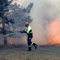 V začetku avgusta je Kraški rob prizadel hud požar, ki ga je 
zanetilo iskrenje tovornega vlaka.  