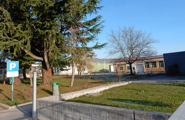 Del hal, ki so naprodaj, je že zelo starih, zgrajenih leta 1960. 
Zato bodo bolj kot stavbe kupce morda pritegnila zazidljiva 
zemljišča okrog njih. Naprodaj  je tudi pisarniški kiosk (za 
drevesi in  tablo P).