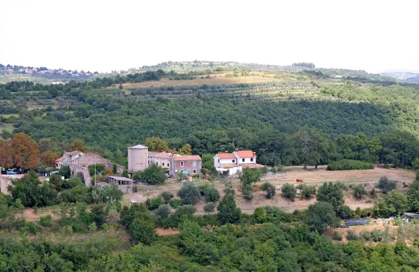 Hrib Krog nad Sečovljami