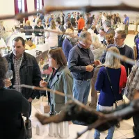 V Šempasu so v začetku aprila pripravili jubilejni, deseti 
festival vin, široko predstavitev vin iz domačih in udomačenih 
sort, oljčnega olja in lokalne kulinarike. Festival vsako leto 
dopolnijo strokovne razprave in delavnice. 