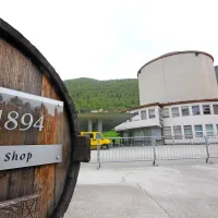 Ne  suša ne toča ne peronospora, vinogradnike v Vipavski 
dolini so lani najbolj udarile turbulence v Agroindu. Optimistične napovedi o boljših časih v rokah Ukrajincev so se 
kmalu po novem letu pokazale za utopične. Podjetje je kljub 
napovedim o širjenju proizvodnje in  novih tržiščih, ki naj bi jih 
zagotovili Ukrajinci,   le še globlje tonilo.  Kmetje še  niso  prejeli  
plačila za  že tri  letnike, od nekaj več kot 40 zaposlenih  jih je po 
dveh naknadno razveljavljenih stečajih  v pričakovanju nove 
odločitve o  tretjem novo leto dočakalo 21. Ob sumih, da naj 
bi uprava v zadnjih dneh pospešeno praznila račun podjetja, 
se je zgodil nov preobrat. Agroind  zdaj v stečaj pošilja uprava. 
A to je, menijo delavci, trenutno še  najboljša rešitev. 