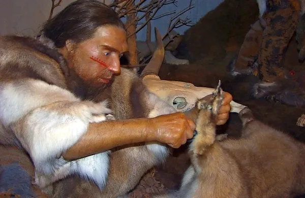  Raziskovalci so dokazali, da se neandertalci niso prehranjevali zgolj z mesom konj in jelenov, ampak tudi z mesom 
bližnjih, ki so umrli.