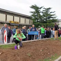   Spomladi so delavci  po naročilu občinske uprave v središču 
Sežane posekali šest bujnih dreves, čemur je sledil protest  
občanov.    

 



