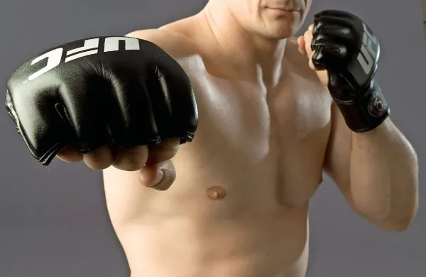 Cro Cop spada med legende borilnih veščin.