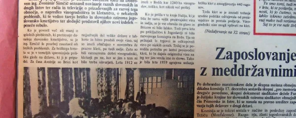 



Zadružna  klet na Dobrovem je pred 46 leti  tržišču ponudila 
nov izdelek - penečo rebulo.