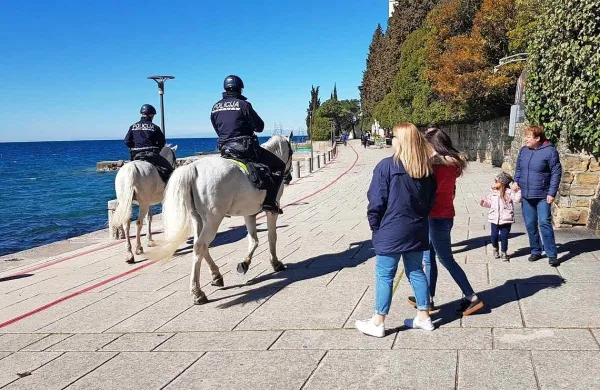 Pluto (na levi) v novi družbi.