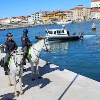 Žrebiček bo odra&scaron;čal v Lipici