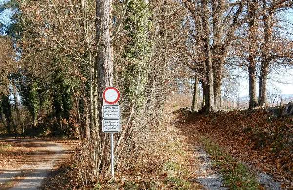 Tudi gozdove v okolici Dobravelj, Avberja in drugih kraških vasi zadnja leta vse bolj 
oblegajo pobiralci kostanjev, gob in drugih gozdnih sadežev. Nekatere ustavijo 
prometni znaki, večine pa ne, ker sta nadzor in kaznovanje kršiteljev pomanjkljiva.

