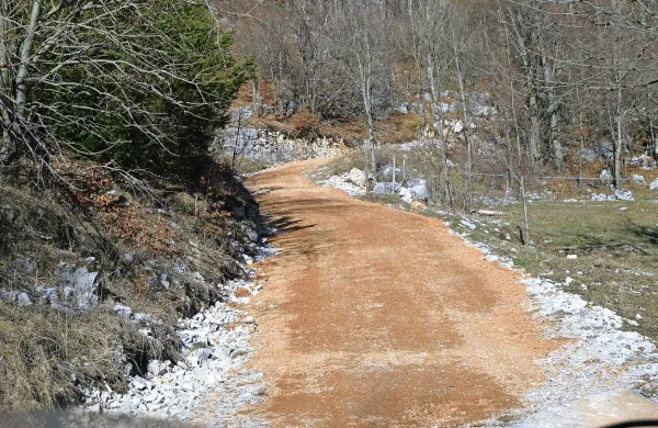 Varnej&scaron;i in kraj&scaron;i dostop v gozdove