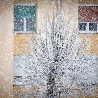 Sneg povzroča preglavice na cesti