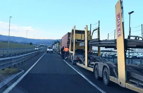 Pred Luko Koper spet kolone tovornjakov
