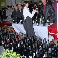 Razglasili zmagovalce natečajev za Županovo vino in oljčno olje (foto)