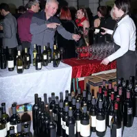 Razglasili zmagovalce natečajev za Županovo vino in oljčno olje (foto)
