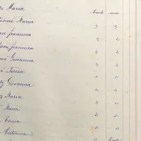 V dunajskih registrih je na tisoče slovenskih imen. 