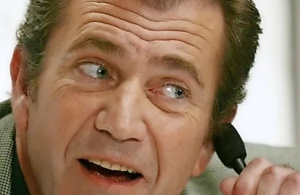 Mel Gibson ima iz prvega zakona z ženo Robyn Moore sedem 
otrok, enega z Oksano Grigorievo, zadnjega pa  z Rosalind 
Ross. 