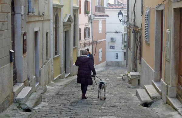 Skrbniki psov so zaradi poostrenega nadzora mestnih redarjev pogosteje počistijo za svojim ljubljencem in uporabljajo povodec, menijo na piranski občini. 