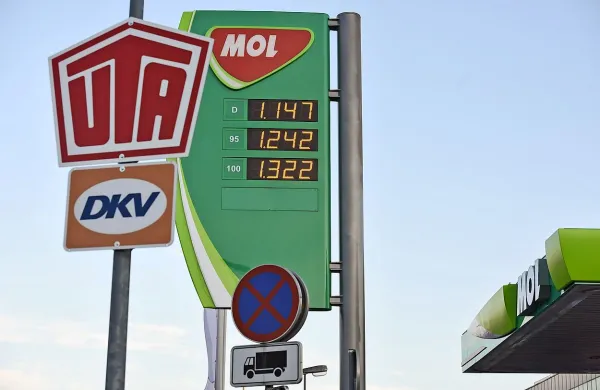 Občutno dražji kot pred letom dni so bili v letošnjem januarju 
energenti.