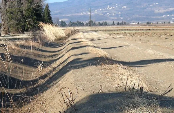 Rodovitna prst je podobno kot leta 2012  pristala v melioracijskih jarkih.