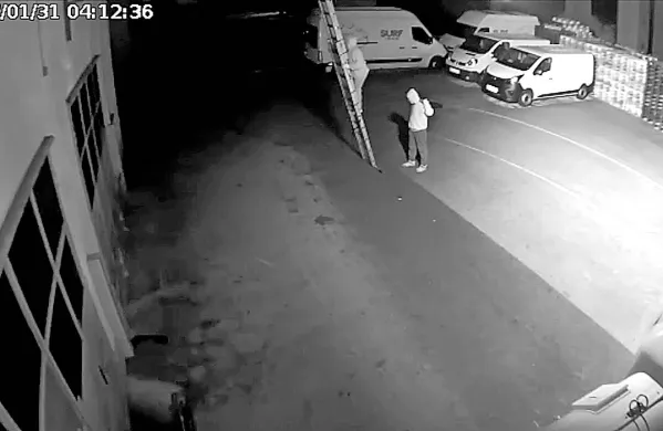 Vlomilca sta na dvorišče prinesla tudi ukradeno lestev.