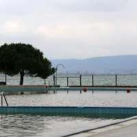 Rakovica z rumeno barvo in povsem novo notranjostjo