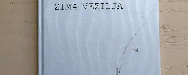 Ledene rože ob mrzlem ognji&scaron;ču