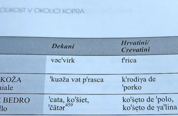 Četudi so si vasi blizu, se njihove govorice razlikujejo.