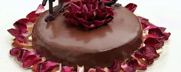 Čokoladna torta s  solkanskim regutom.