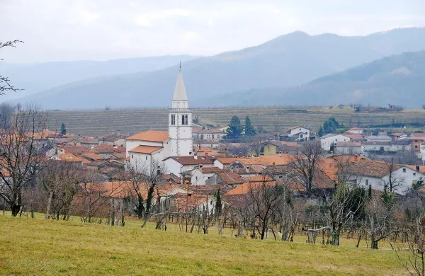 Vipavski svetniki so v prvi obravnavi potrdili predlog odloka o 
razglasitvi kulturnih spomenikov lokalnega pomena v naselju 
Goče. 