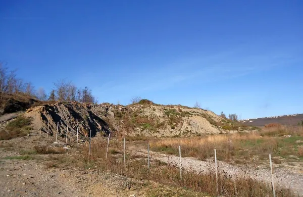 V opuščenem laporokopu na Srminu bi podjetje Grafist 
namestilo napravo za mletje gradbenega materiala.



