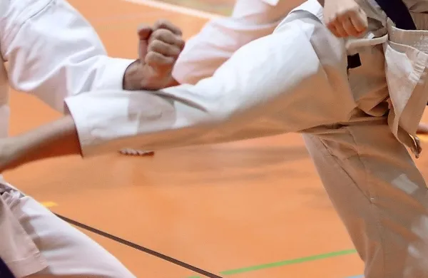Mo&scaron;tveni naslov za Samurai Sežana