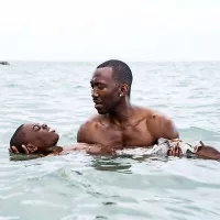 Za najboljši film so razglasili Mesečino.
