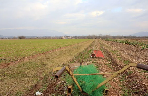 Kmetje zahtevajo ustrezno vodo od začetku namakalne 
sezone. V primeru nove prepovedi oroševanja pa bodo, kot 
napovedujejo, sprožili odškodninske tožbe.  